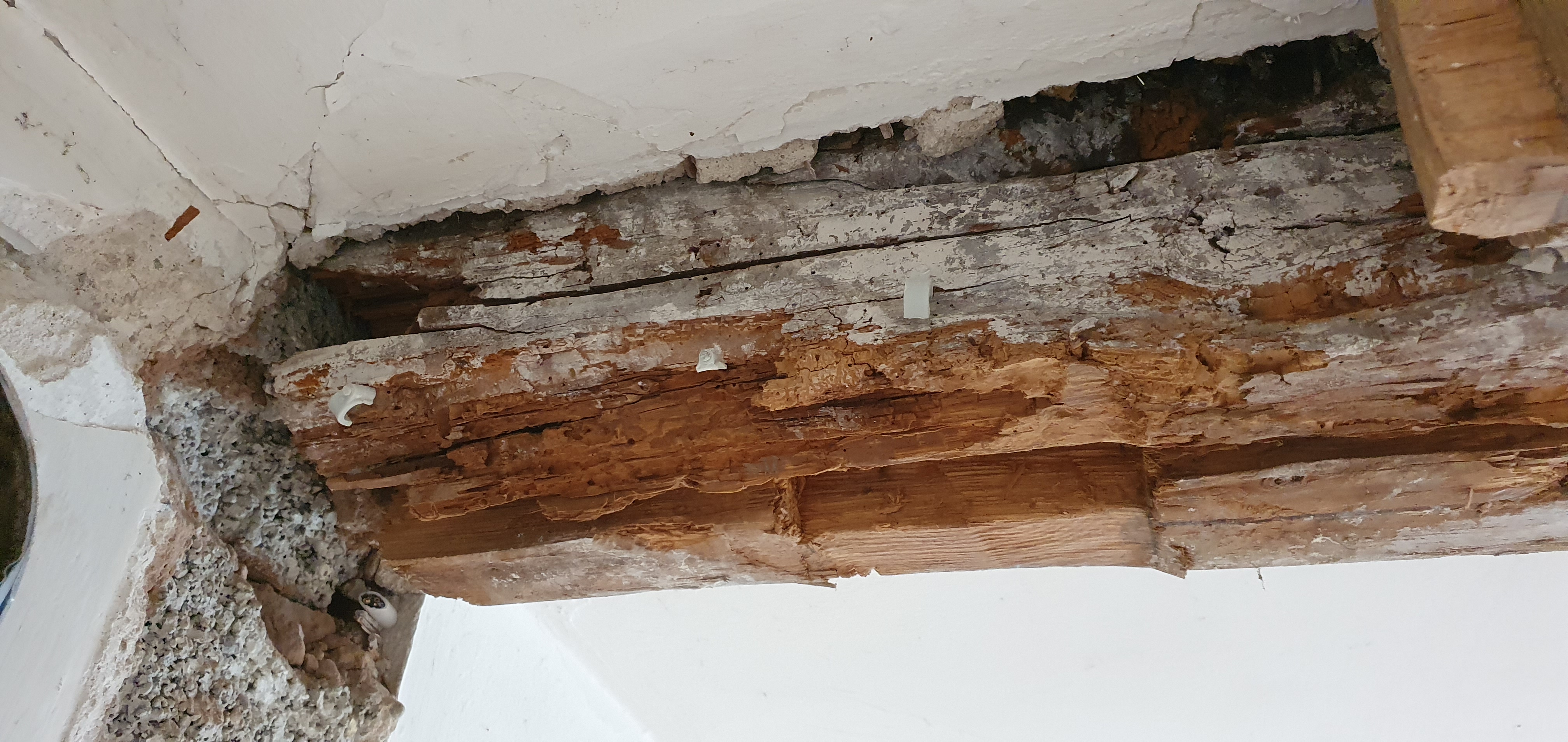Nahaufnahme einer beschädigten Decke mit freigelegten, alten Holzbalken und Rissen im Putz.